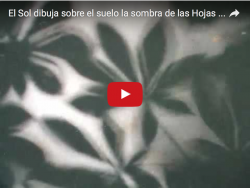 Las Hojas 1 (para ver vídeo, pulsar flecha verde)